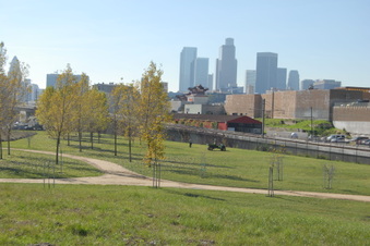 Enlarge photo 39