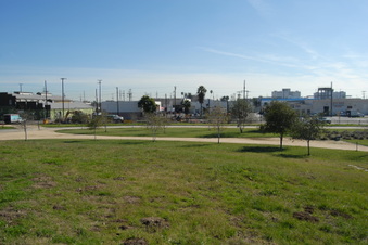 Enlarge photo 45