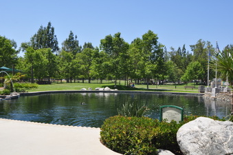 Enlarge photo 17