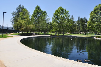 Enlarge photo 19