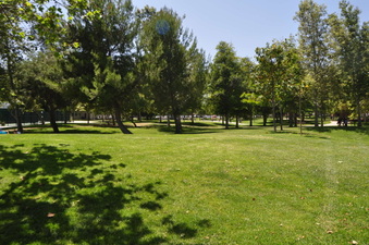 Enlarge photo 22