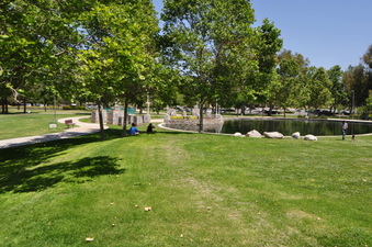 Enlarge photo 26