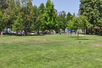 Enlarge photo 30