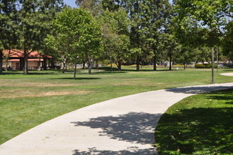 Enlarge photo 31