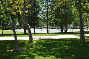 Enlarge photo 33