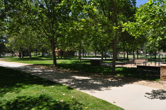 Enlarge photo 35