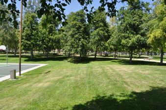 Enlarge photo 42
