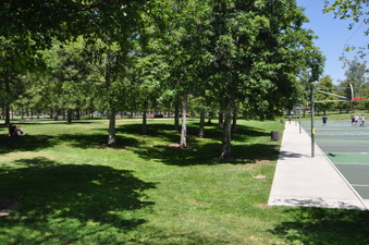 Enlarge photo 48