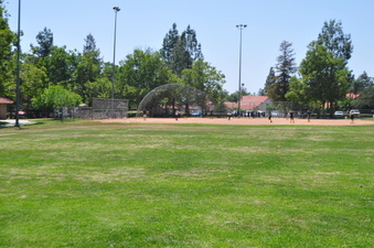 Enlarge photo 56