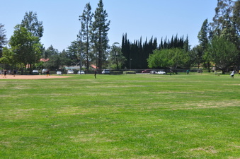 Enlarge photo 57