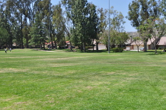 Enlarge photo 58