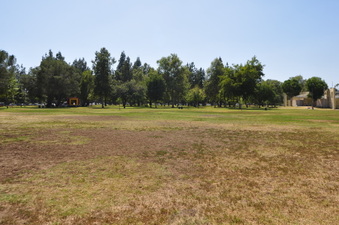 Enlarge photo 33