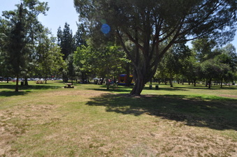 Enlarge photo 35