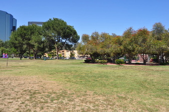Enlarge photo 38