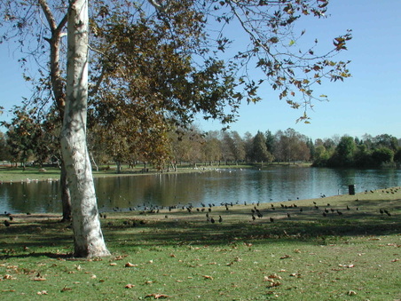 Enlarge photo 38