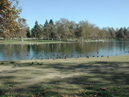 Enlarge photo 39