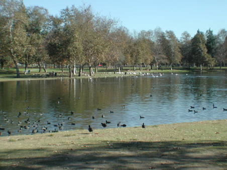Enlarge photo 40