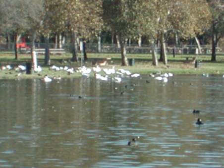 Enlarge photo 42