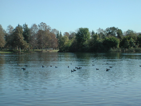 Enlarge photo 43