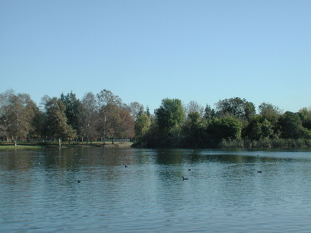 Enlarge photo 44