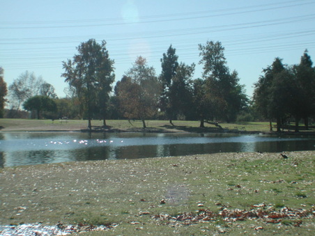 Enlarge photo 45