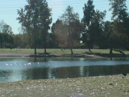 Enlarge photo 46