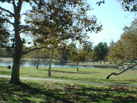 Enlarge photo 47