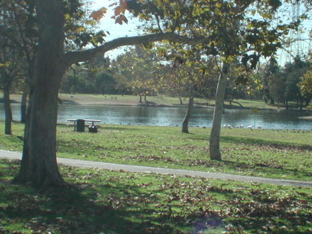 Enlarge photo 48