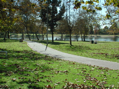 Enlarge photo 49