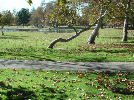 Enlarge photo 50