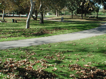 Enlarge photo 51