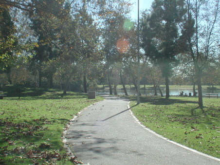 Enlarge photo 52