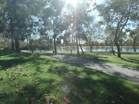 Enlarge photo 53