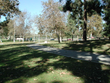 Enlarge photo 54