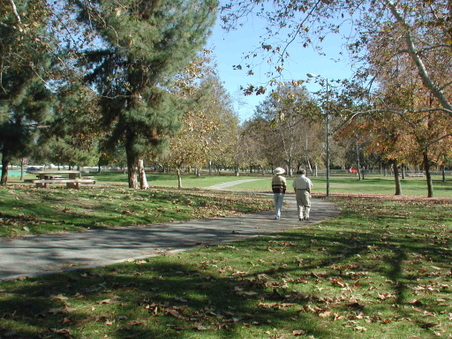 Enlarge photo 55