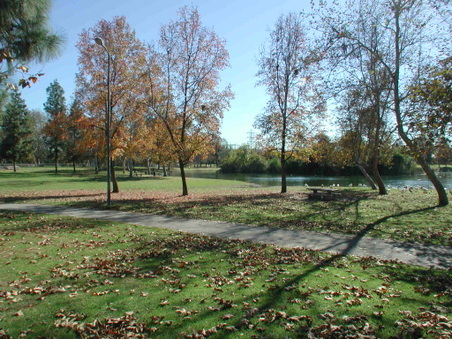 Enlarge photo 59