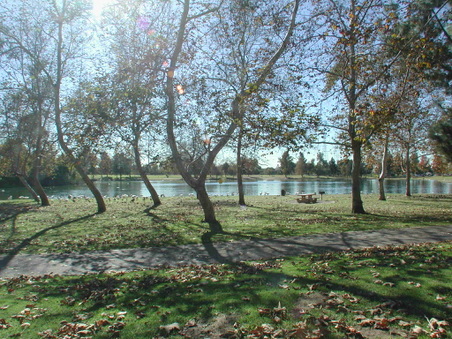 Enlarge photo 58