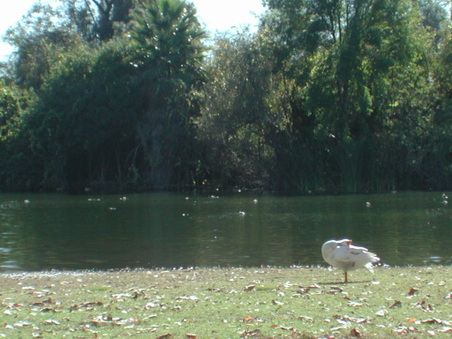 Enlarge photo 60