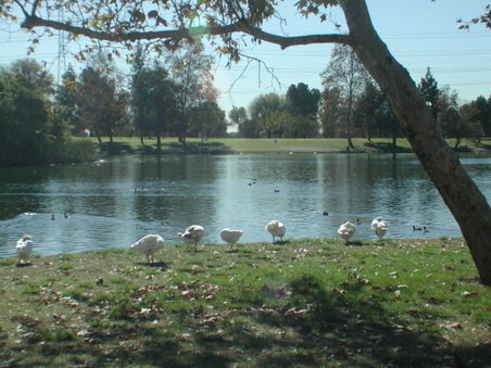 Enlarge photo 61