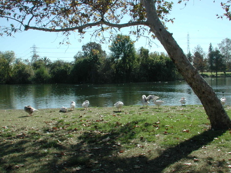 Enlarge photo 62
