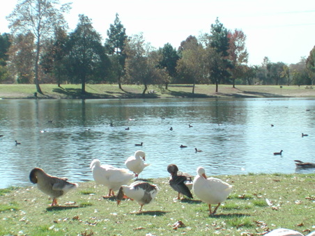 Enlarge photo 63