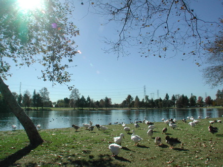 Enlarge photo 64
