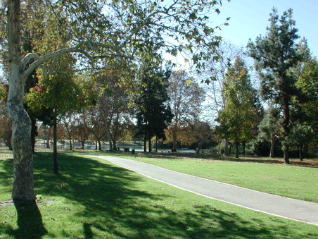 Enlarge photo 65