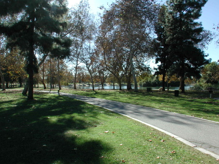 Enlarge photo 67