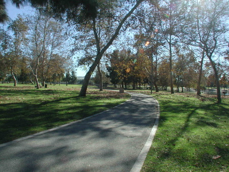 Enlarge photo 66