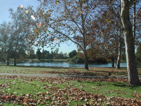 Enlarge photo 68
