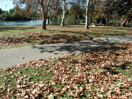 Enlarge photo 69