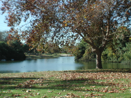 Enlarge photo 70