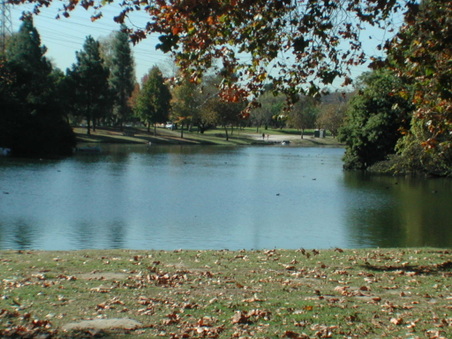 Enlarge photo 71