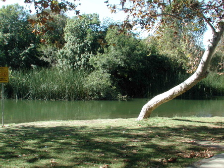 Enlarge photo 72